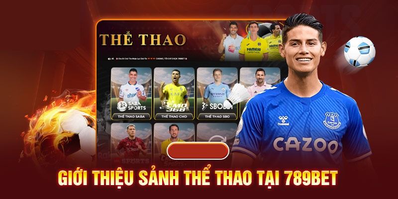 Đôi nét về cá độ thể thao online tại 789bet